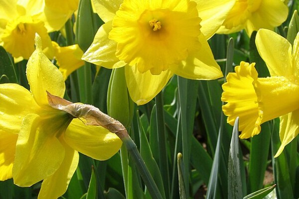 Image for article titled Closure for the Easter Bank Holiday